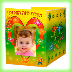 פולדר לסוף שנה הפרח